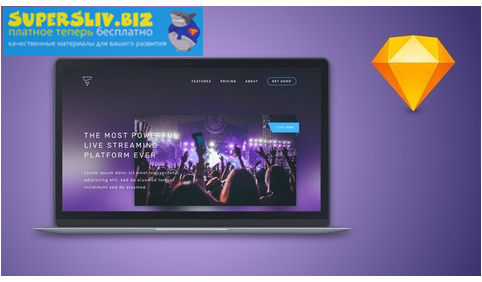[Udemy] Даниил Жосуль - Pro Ux Design (2019)_0.png